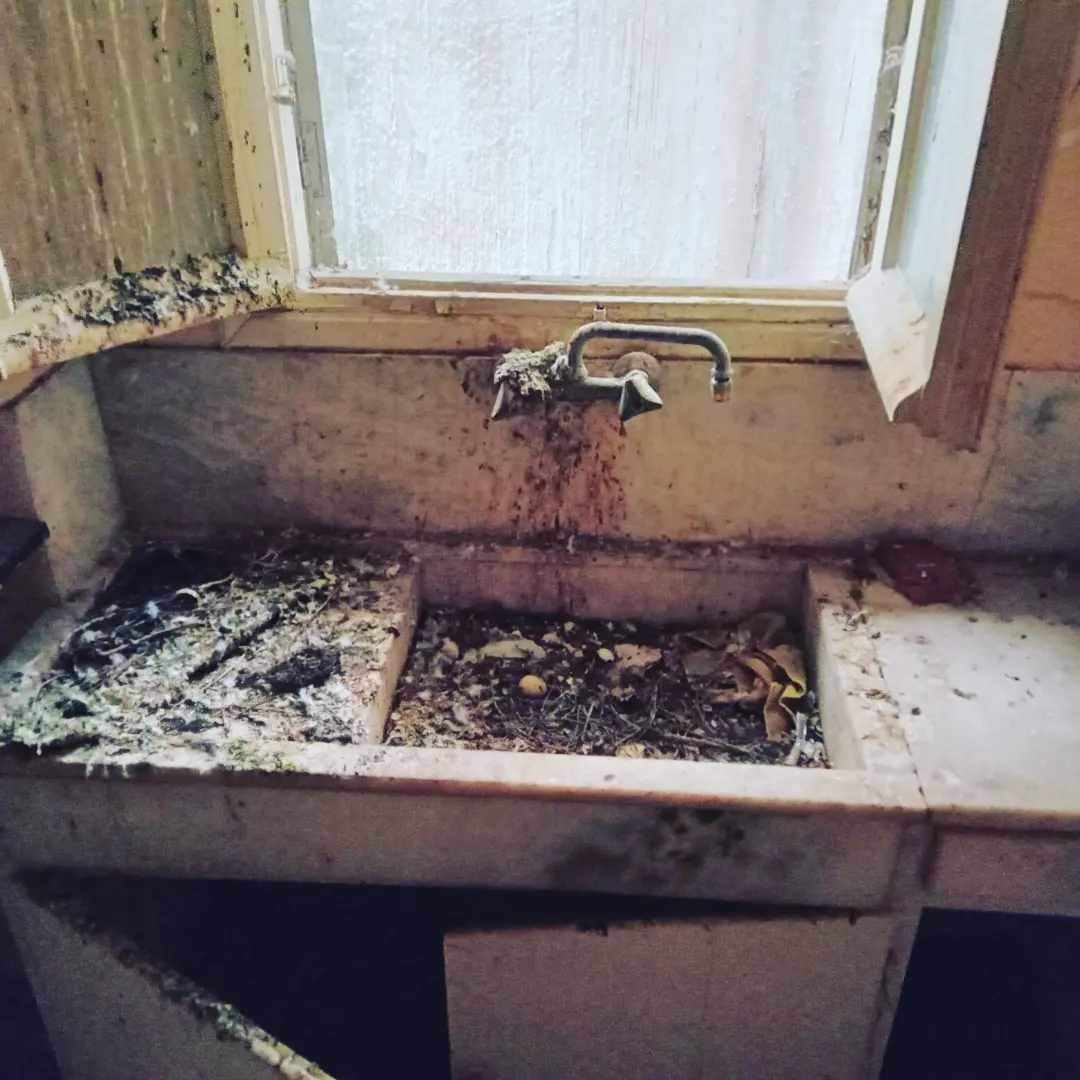 Φωτογραφία SolCleaning