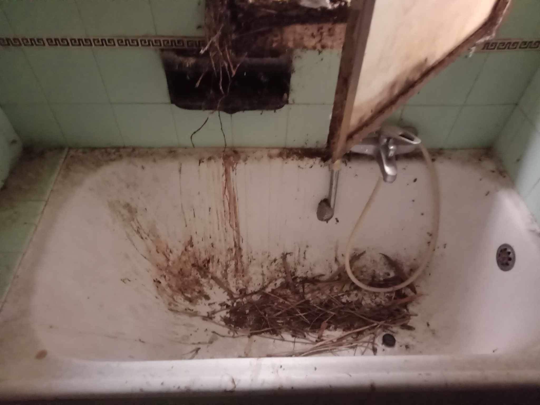 Φωτογραφία SolCleaning