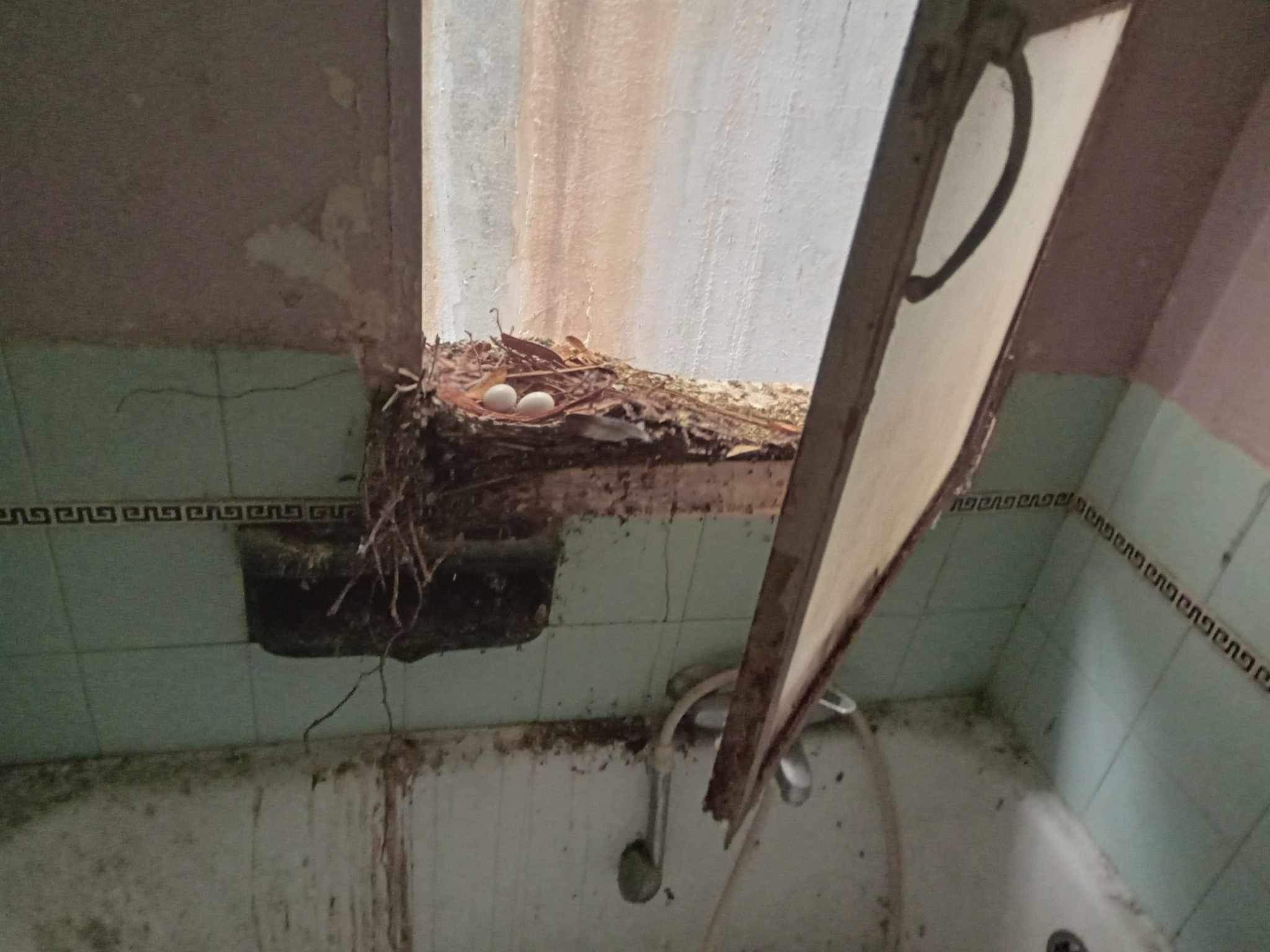 Φωτογραφία SolCleaning